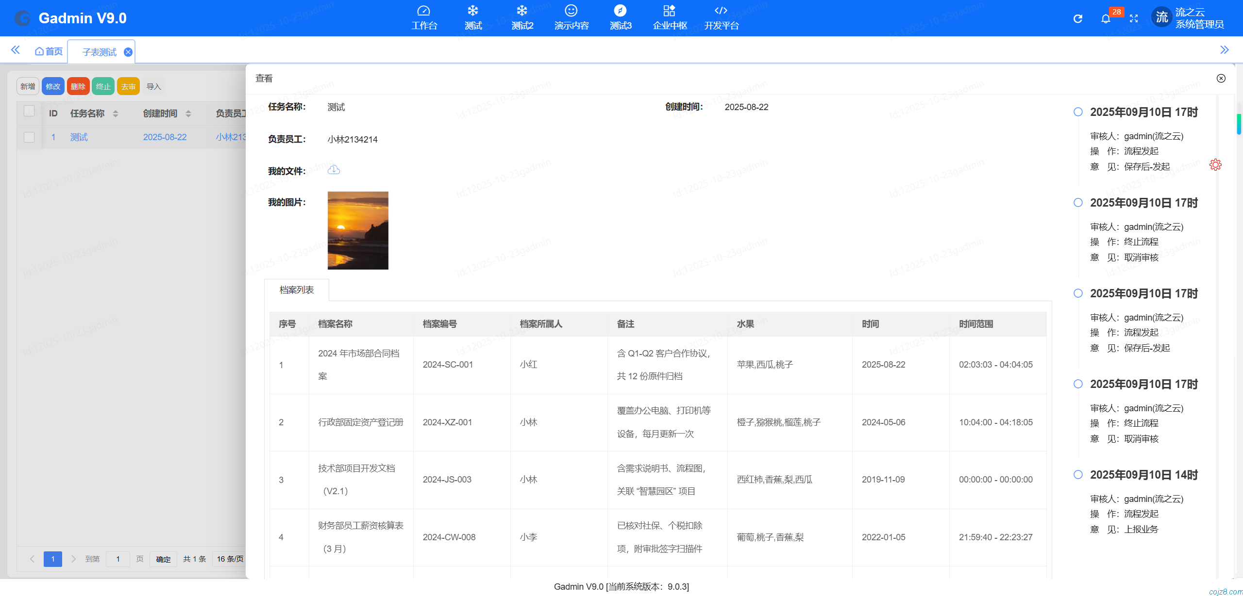 蝈蝈博客 PHP开源工作流 PHP低代码开发平台