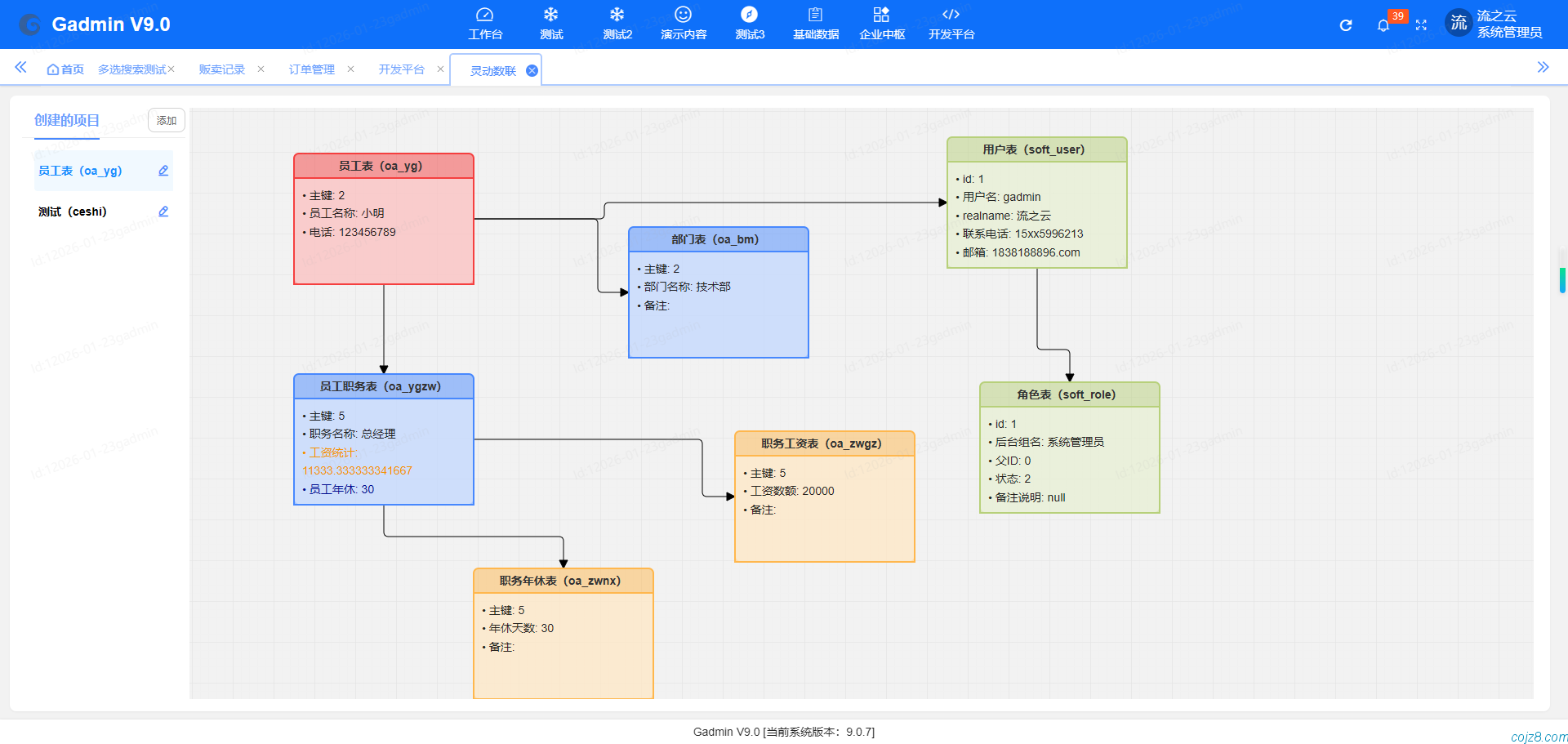 蝈蝈博客 PHP开源工作流 PHP低代码开发平台
